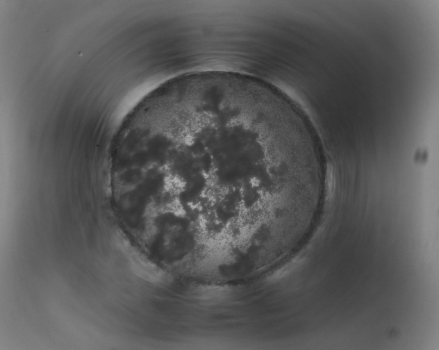 X0000111370925200907171154