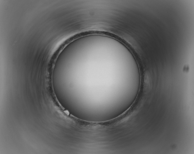 X0000111370926200907171154