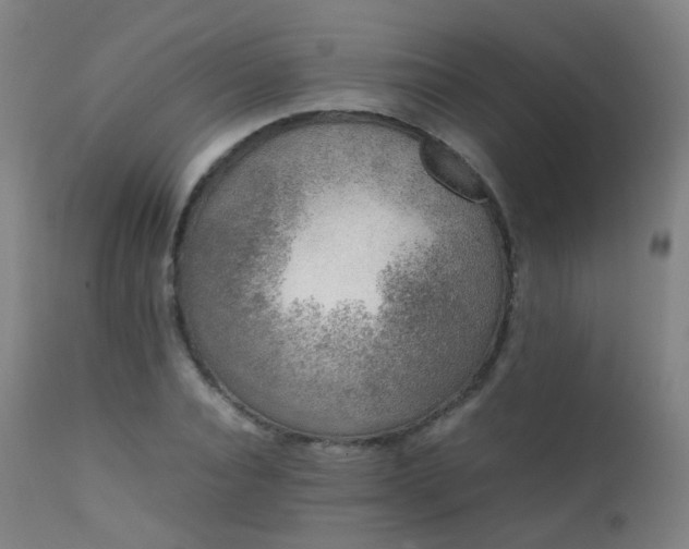 X0000111370928200907171154