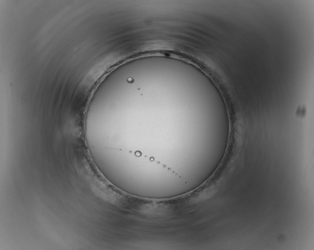 X0000111370929200907171154