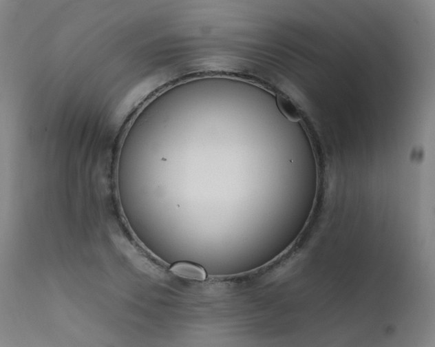 X0000111370930200907171155