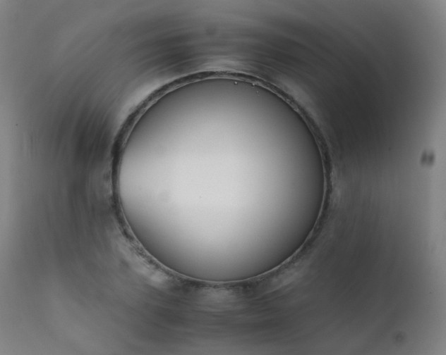 X0000111370931200907171155