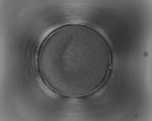 X0000111370932200907171155