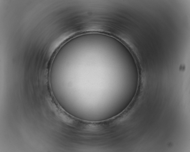 X0000111370933200907171155