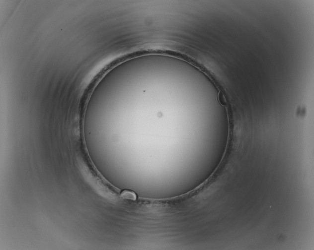 X0000111370934200907171155