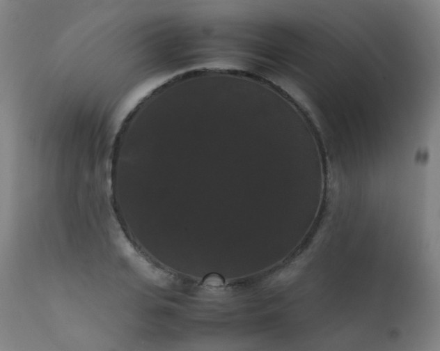 X0000111370935200907171155