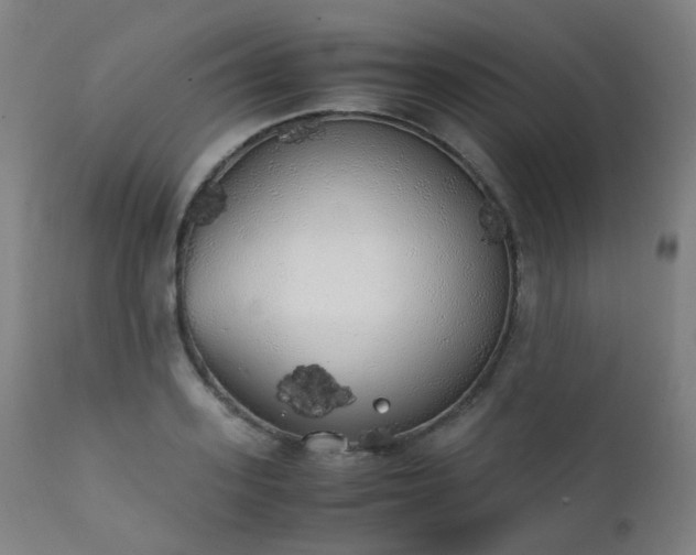 X0000111370939200907171155