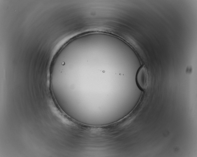 X0000111370940200907171155