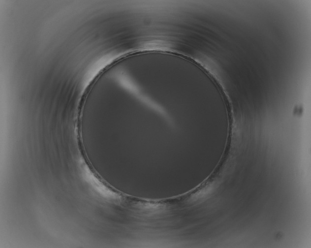 X0000111370941200907171155