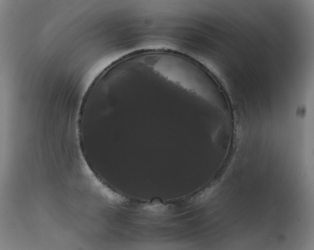 X0000111370943200907171155