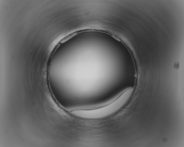 X0000111370944200907171155