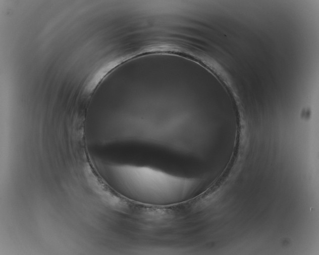 X0000111370945200907171155