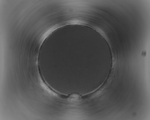 X0000111370946200907171155