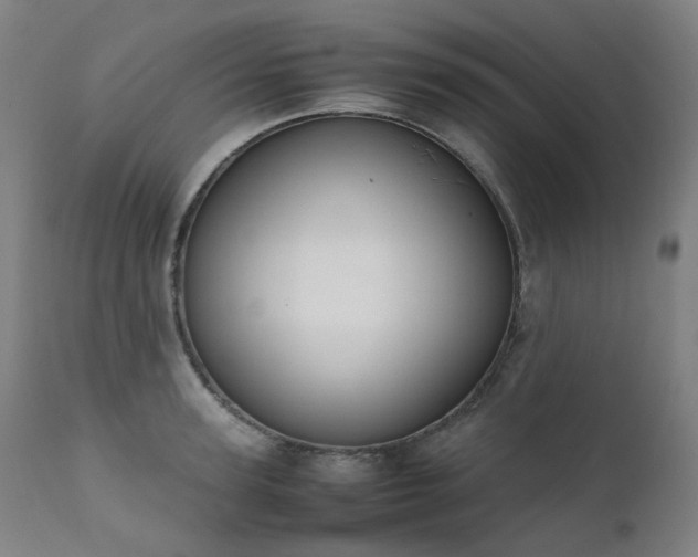 X0000111370947200907171155