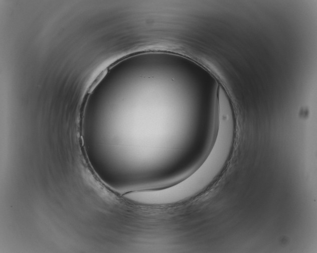 X0000111370948200907171155