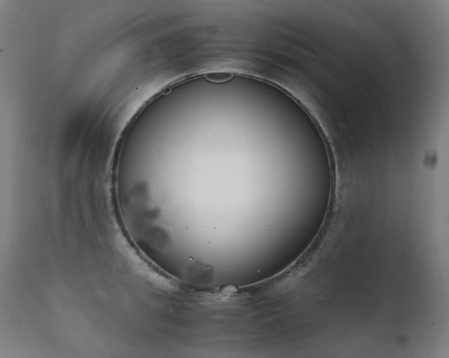 X0000111370949200907171155