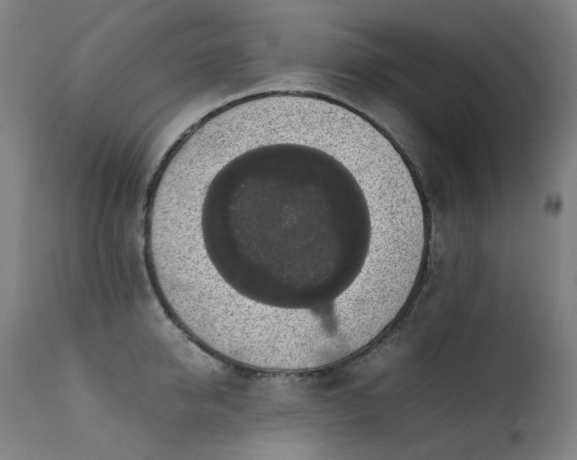 X0000111370950200907171155