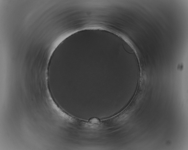 X0000111370951200907171155