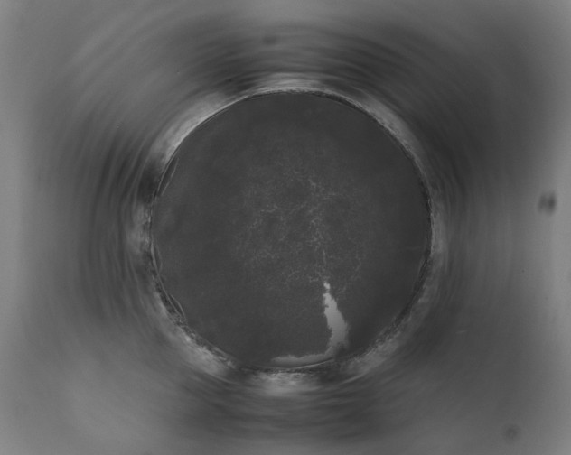 X0000111370953200907171155