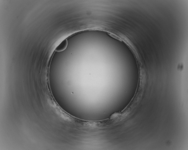 X0000111370956200907171155