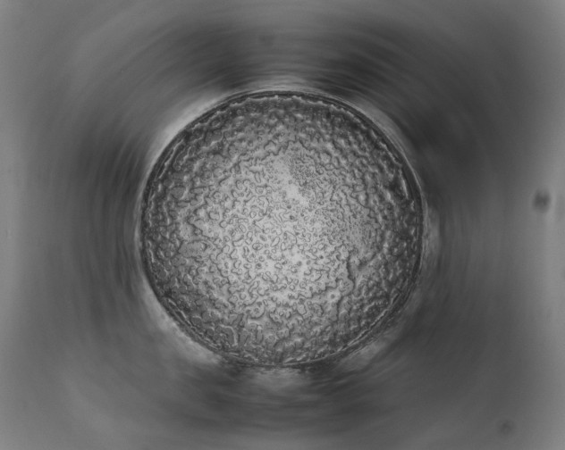 X0000111370957200907171155