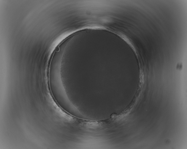 X0000111370959200907171155