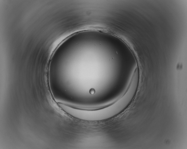 X0000111370960200907171155