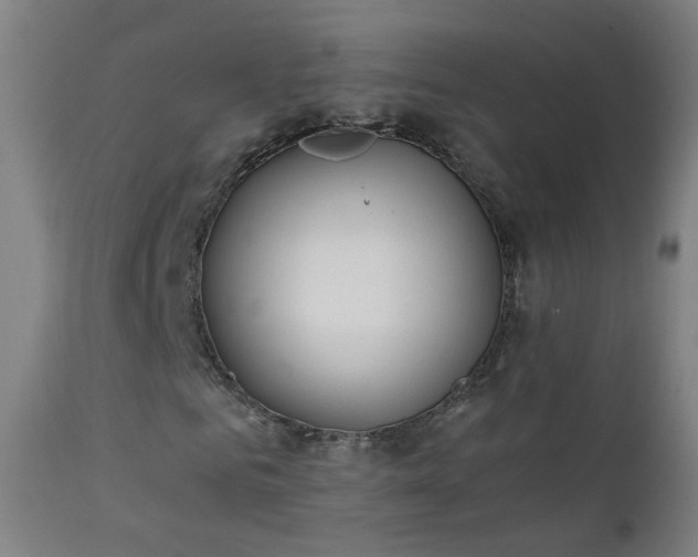 X0000111370961200907171154