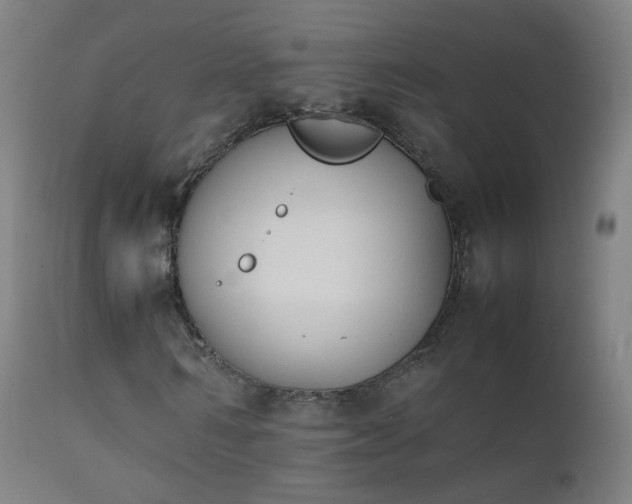 X0000111370962200907171154