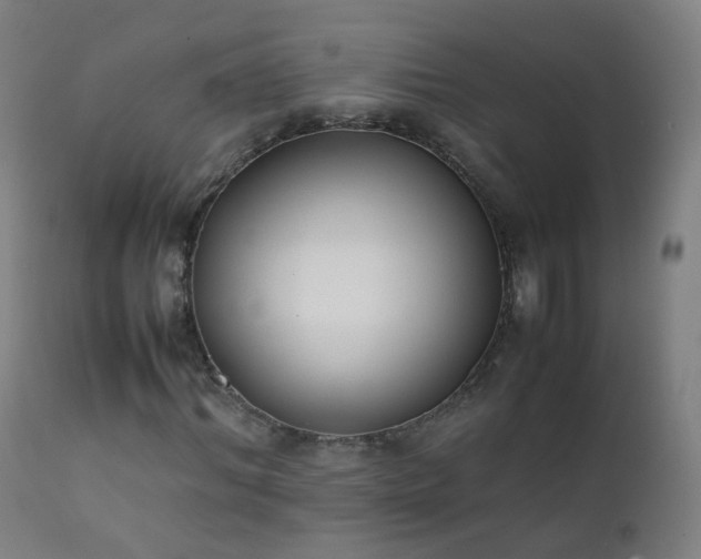 X0000111370964200907171154