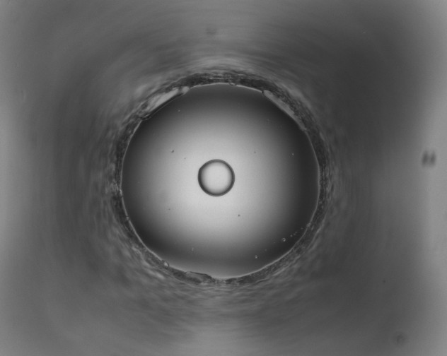 X0000111370965200907171154