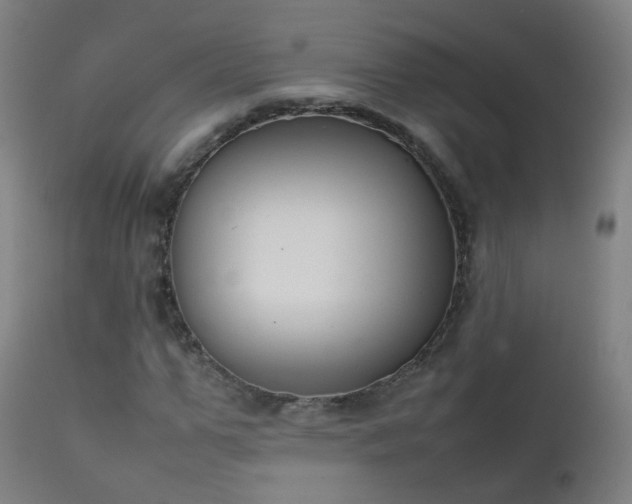 X0000111370967200907171154