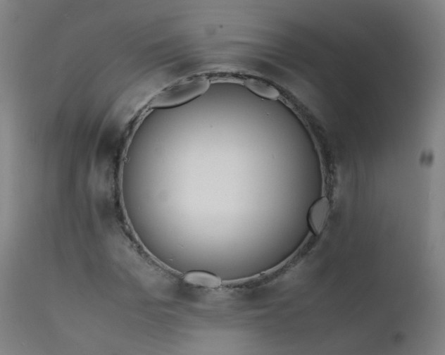 X0000111370969200907171154