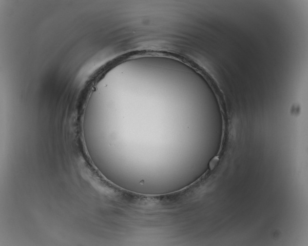 X0000111370971200907171154