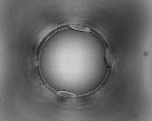 X0000111370973200907171154