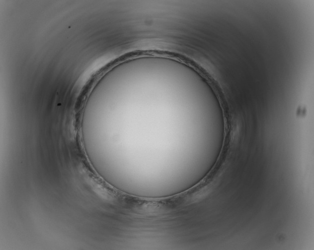 X0000111370974200907171154