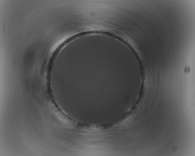 X0000111370975200907171154