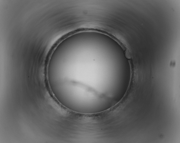 X0000111370976200907171154