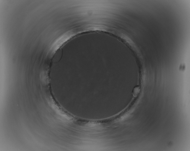 X0000111370977200907171154