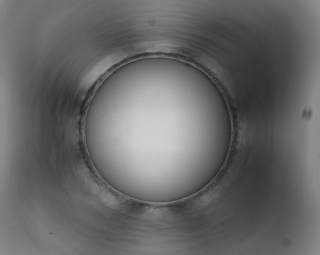 X0000111370978200907171154