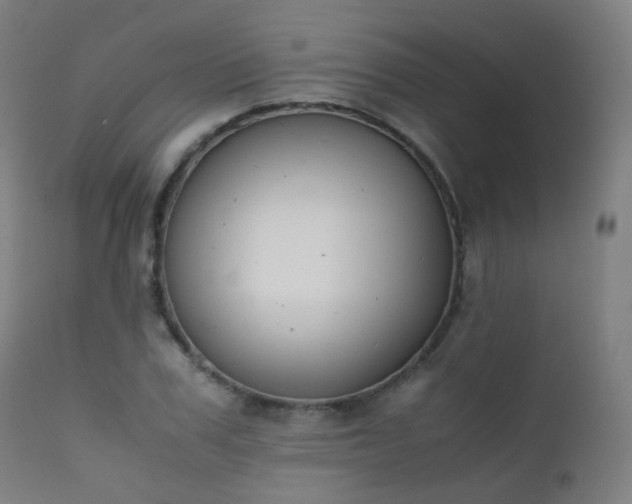 X0000111370979200907171154