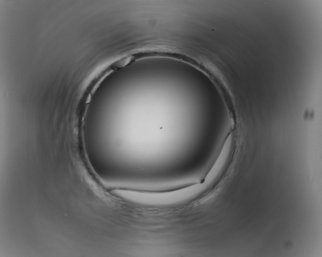 X0000111370981200907171154