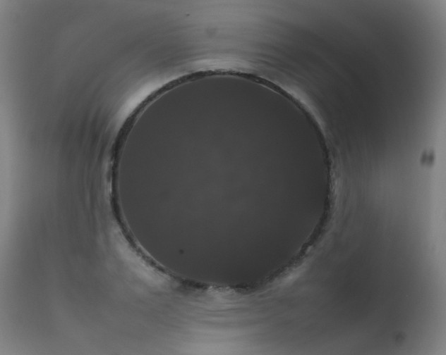 X0000111370983200907171154