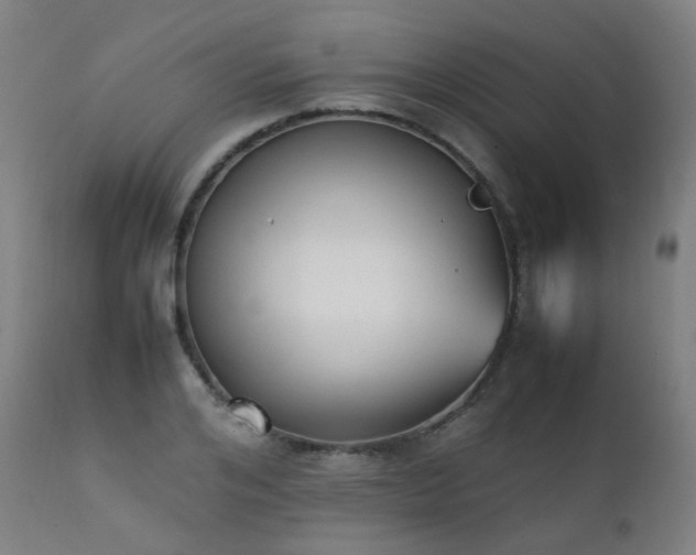 X0000111370984200907171154