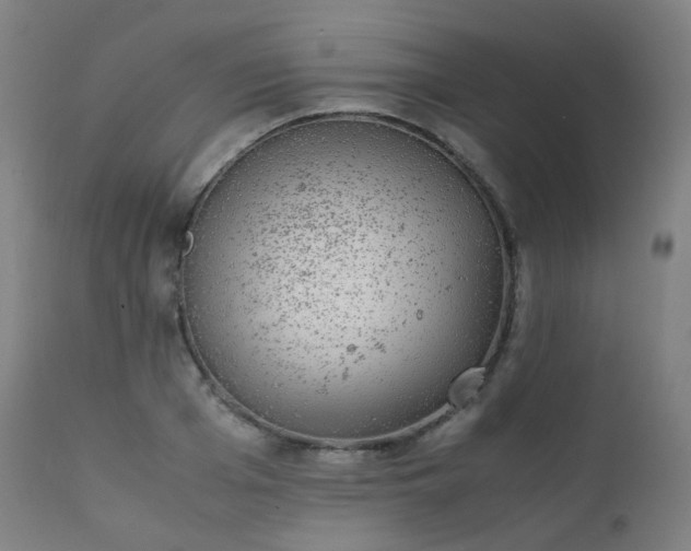 X0000111370985200907171154