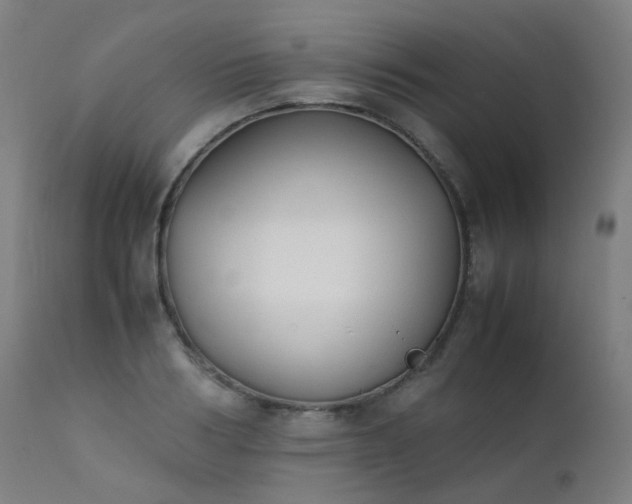 X0000111370986200907171154