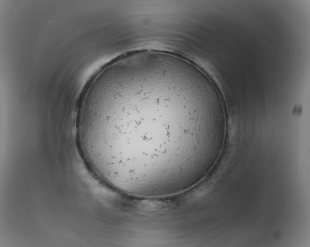 X0000111370987200907171154
