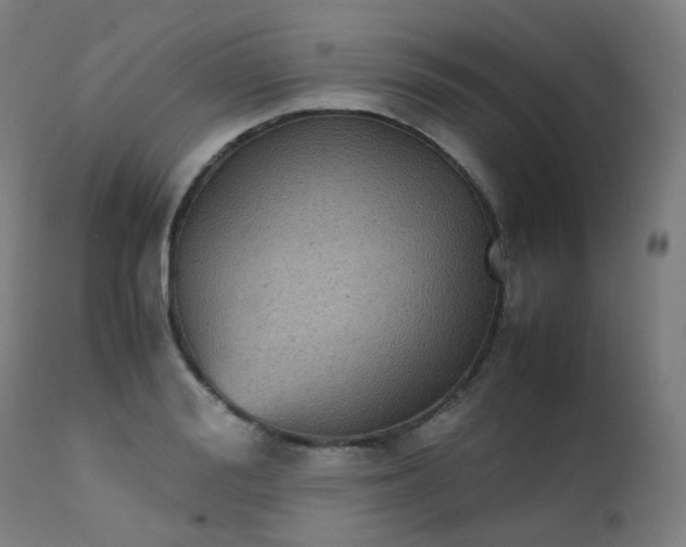 X0000111370988200907171154