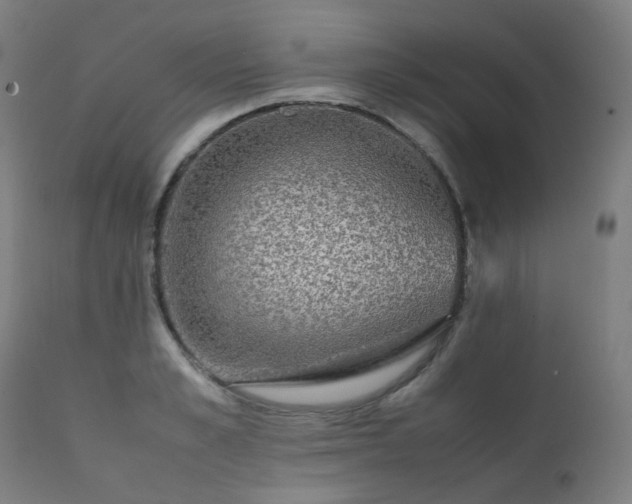 X0000111370989200907171154