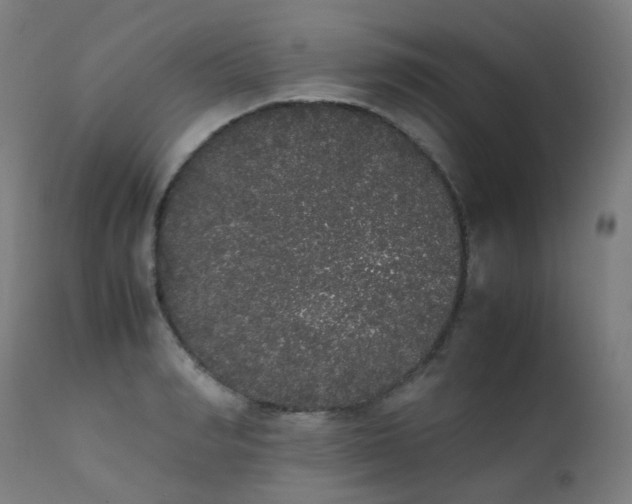 X0000111370990200907171154